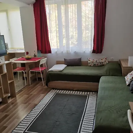 4 Seasons Apartments, A2 Apartamento